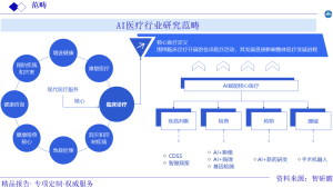 AI医疗行业研究范畴图片