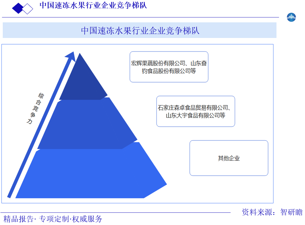 中国速冻水果行业企业竞争梯队图片