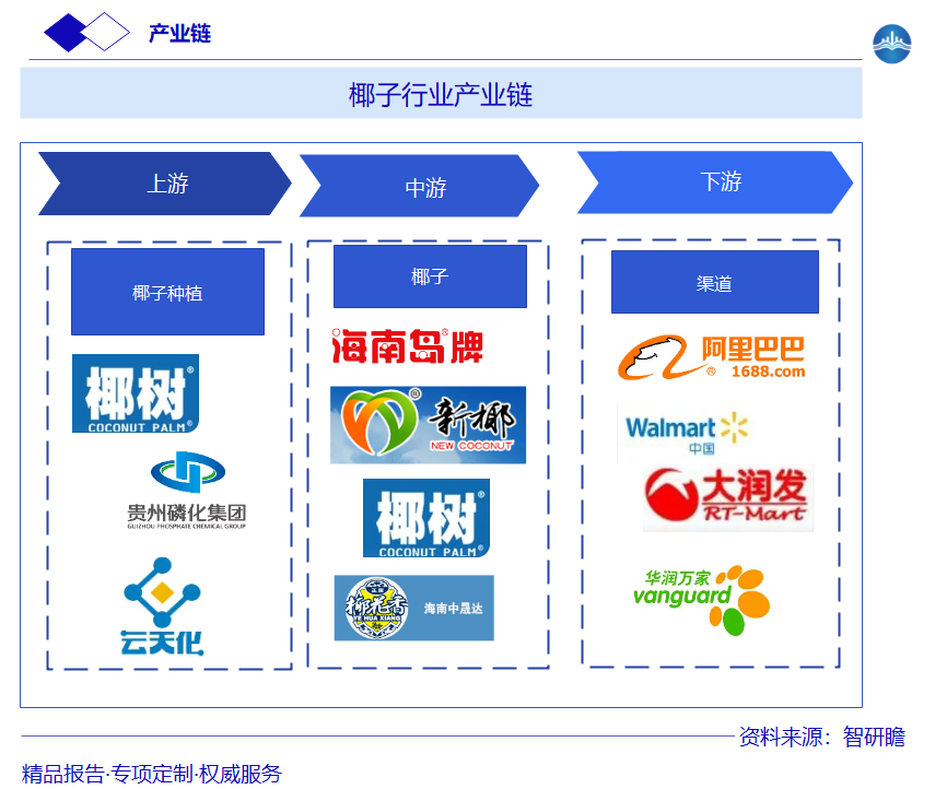 椰子行业产业链图片