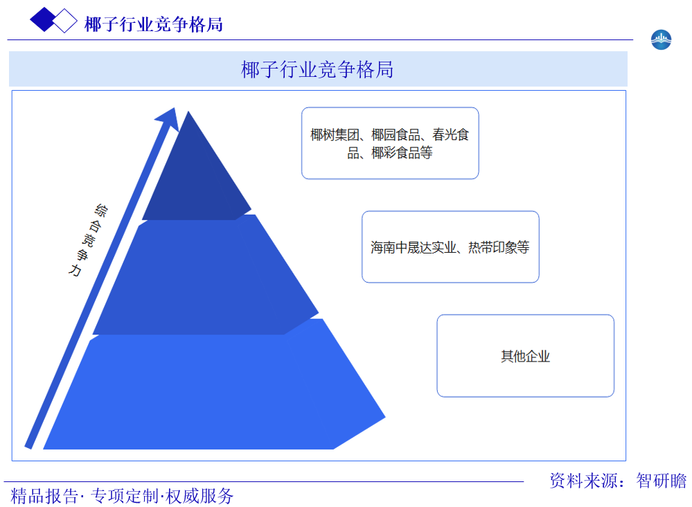 椰子行业竞争格局图片