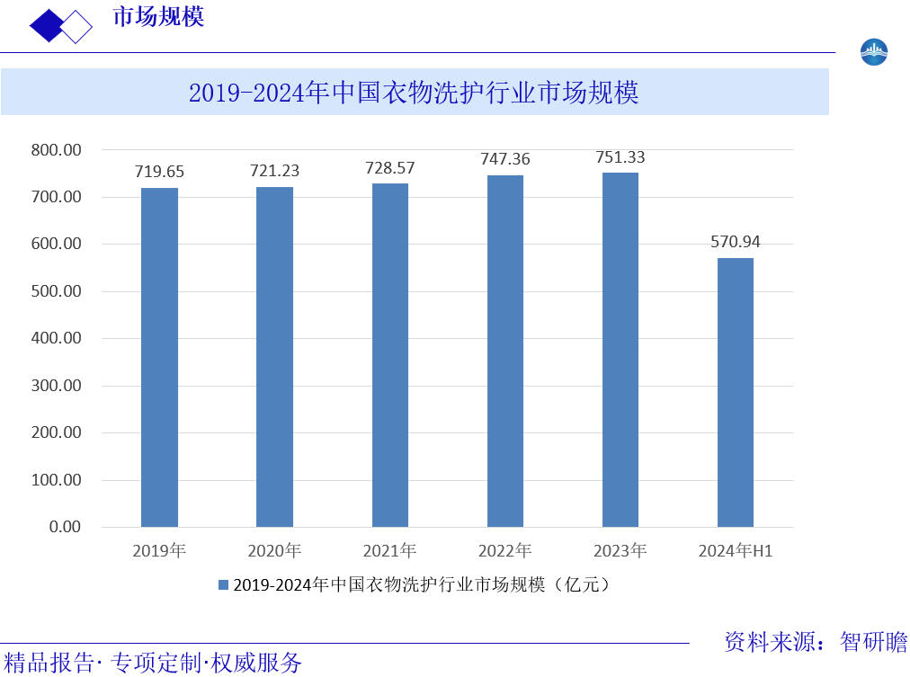 2019-2024年中国衣物洗护行业市场规模图片