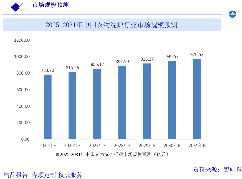 2025-2031年中国衣物洗护行业市场规模预测图片